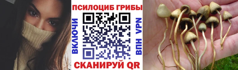 Псилоцибиновые грибы ЛСД  купить наркоту  Электрогорск 