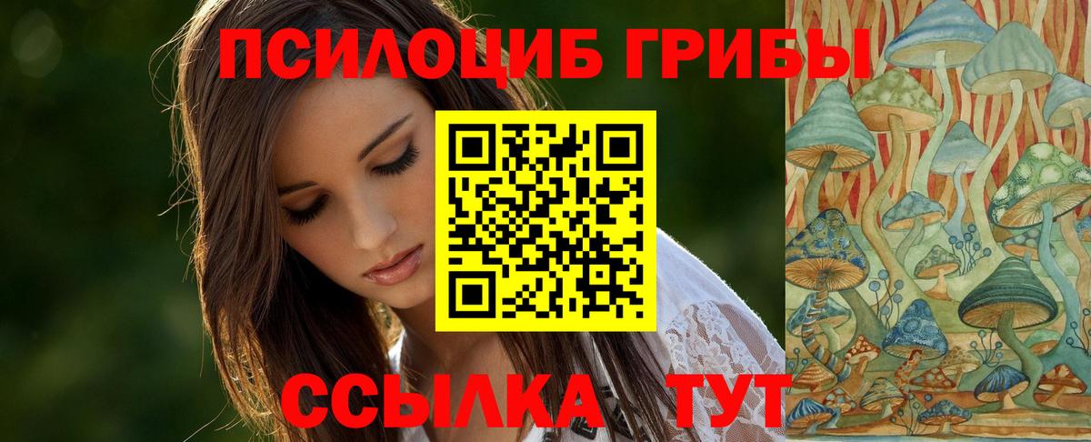 Электрогорск  Галлюциногенные грибы MAGIC MUSHROOMS  Вход с VPN 