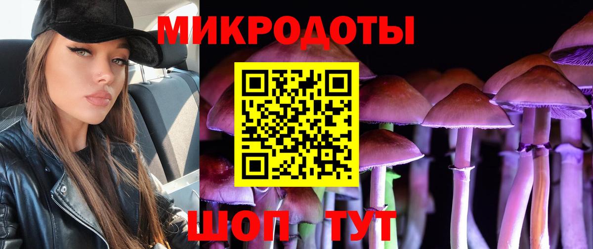 Электрогорск  Галлюциногенные грибы ЛСД  Вход с VPN 